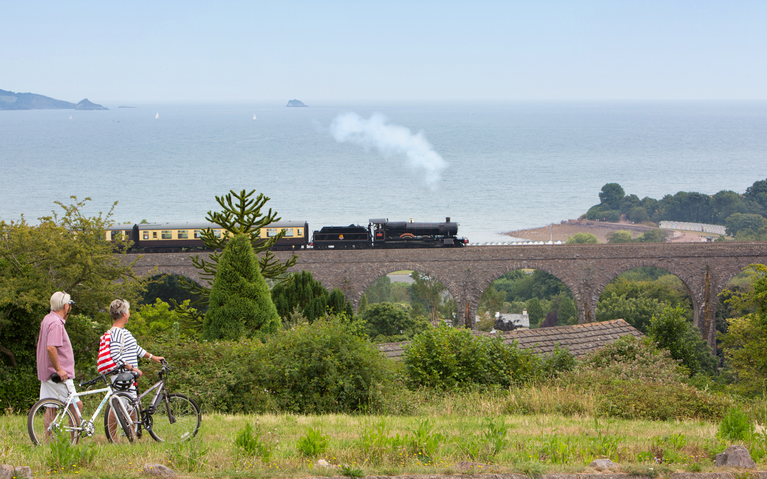 The Dartmouth Steam Railway - Dog Friendly visitor attraction near Torquay