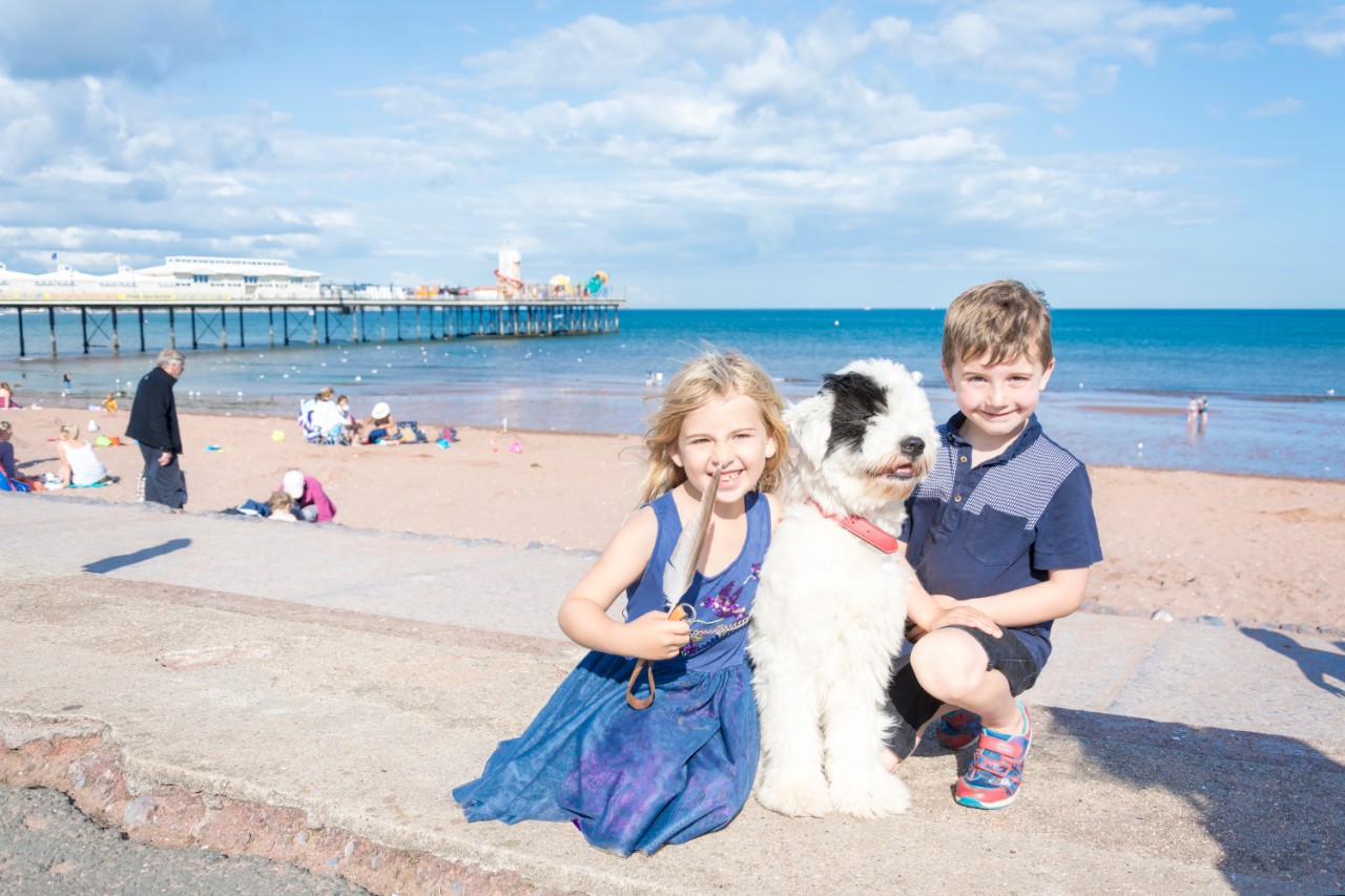 Dog Friendly Holidays in Torquay