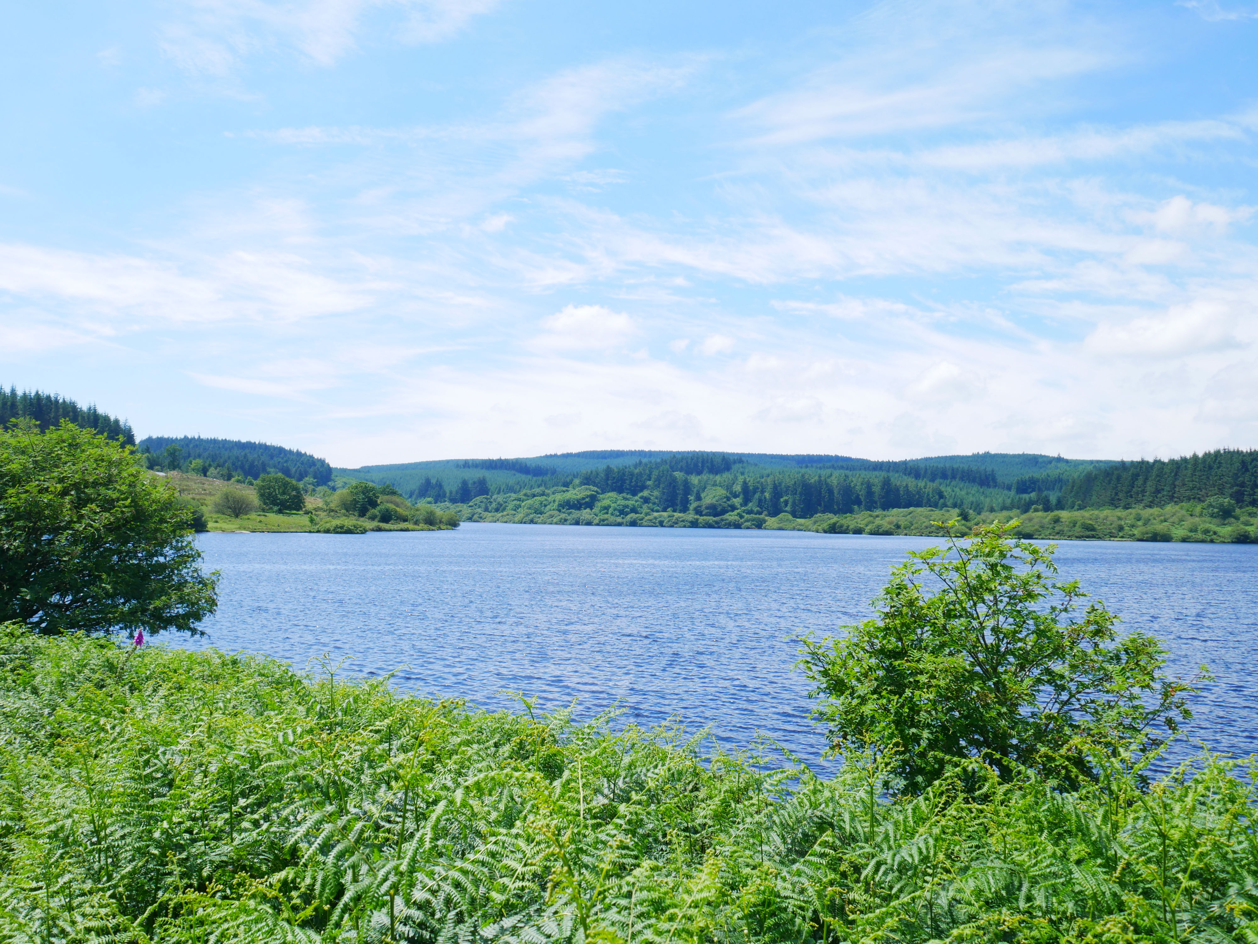 Fernworthy Resevoir on Dartmoor