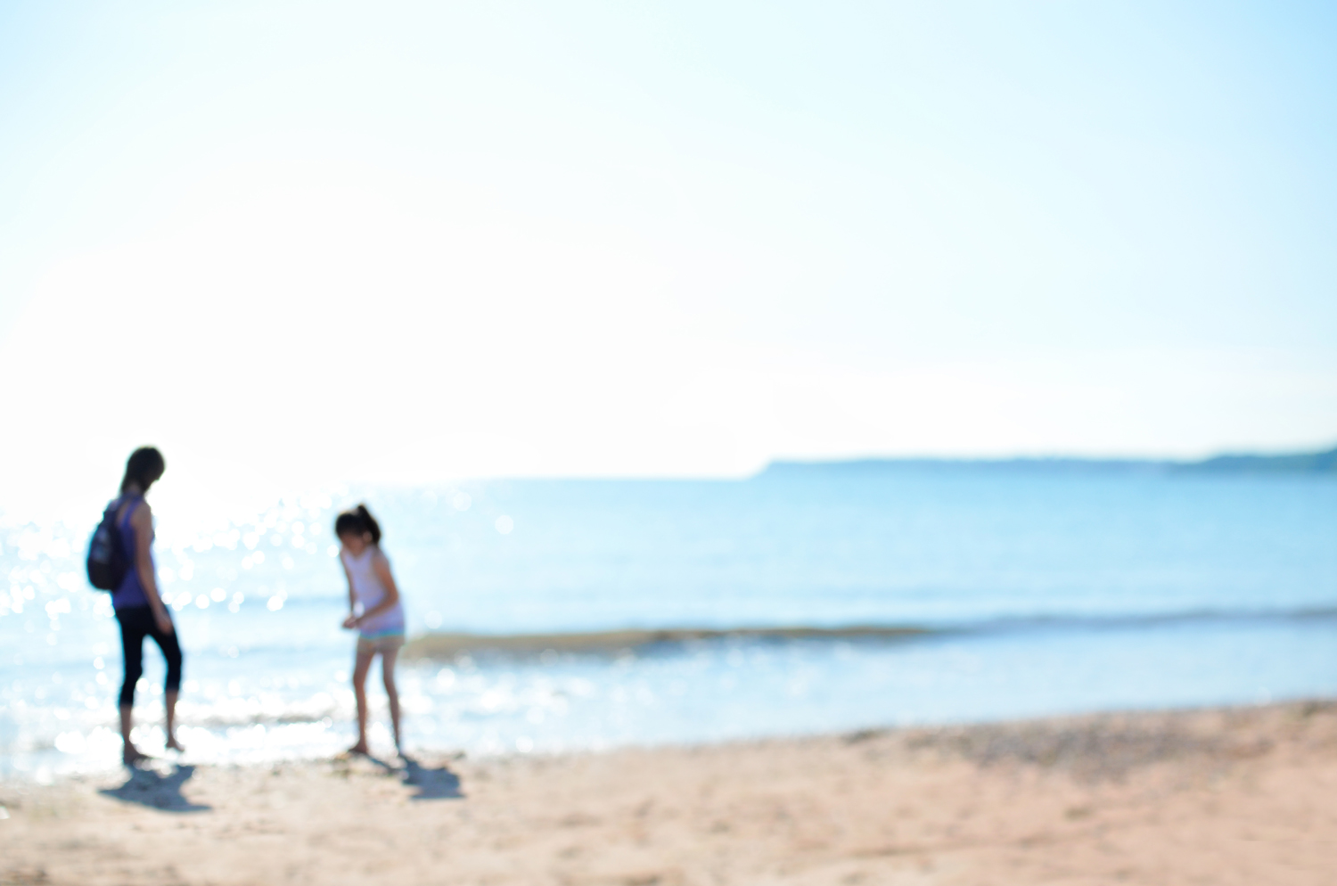 Hollicombe Beach near Torquay - Dog friendly beach